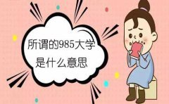 所谓的985大学是什么意思?