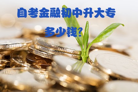 自考金融初中升大专多少钱？(图1)